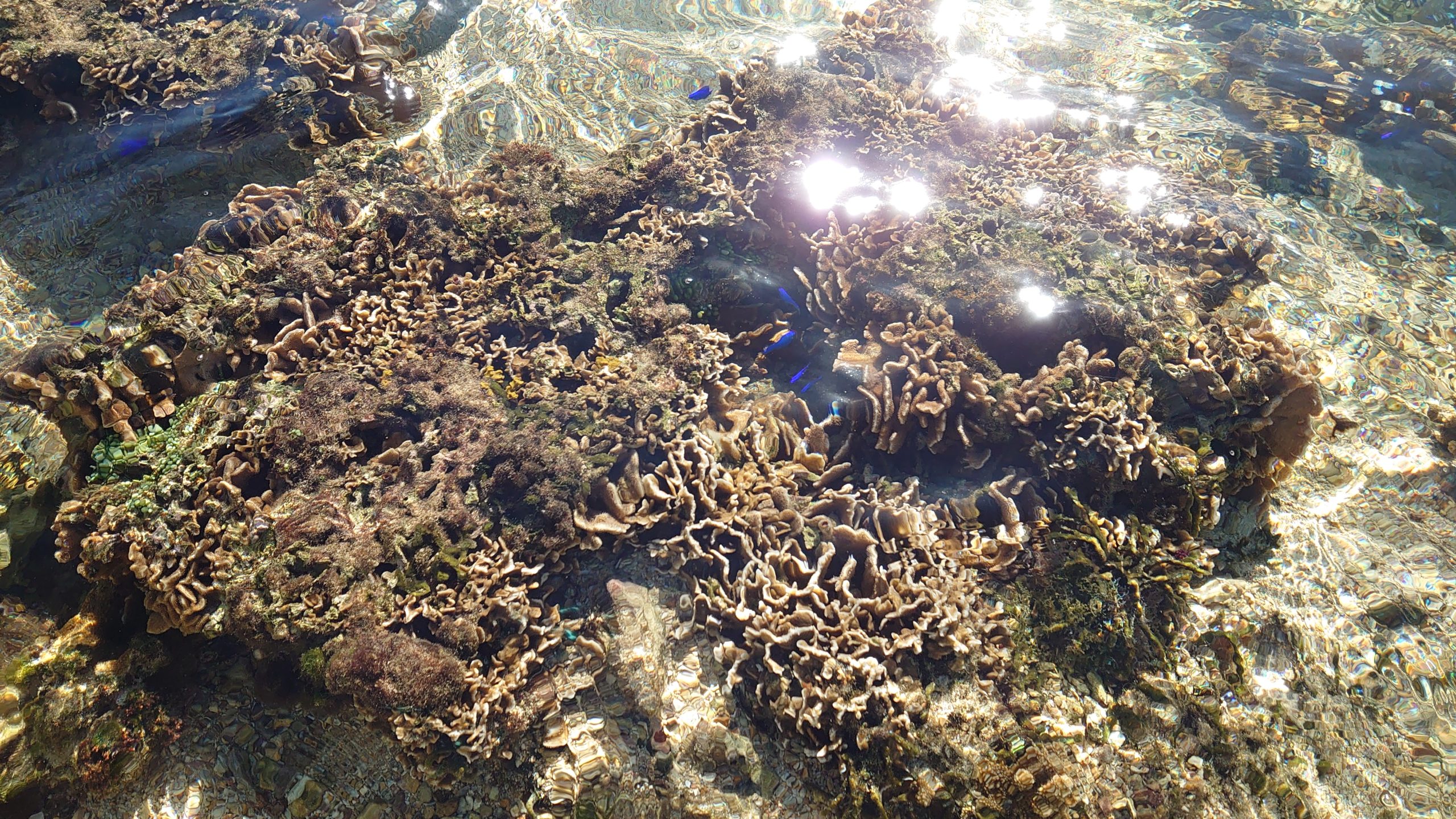 世のために役立つ情報を発信しよう！